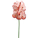 33" Handwrapped Vanda Orchid Silk Flower Stem -Rust (pack of 6) - HSO005-RU