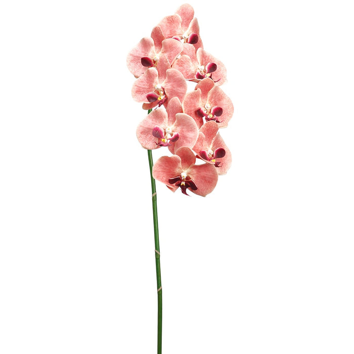 40" Handwrapped Phalaenopsis Orchid Silk Flower Stem -Coral (pack of 6) - HSO007-CO