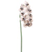 40" Handwrapped Phalaenopsis Orchid Silk Flower Stem -Peach/Black (pack of 6) - HSO007-PE/BK