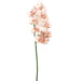 40" Handwrapped Phalaenopsis Orchid Silk Flower Stem -Light Peach (pack of 6) - HSO007-PE/LT