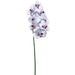 40" Handwrapped Phalaenopsis Orchid Silk Flower Stem -White/Purple (pack of 6) - HSO007-WH/PU