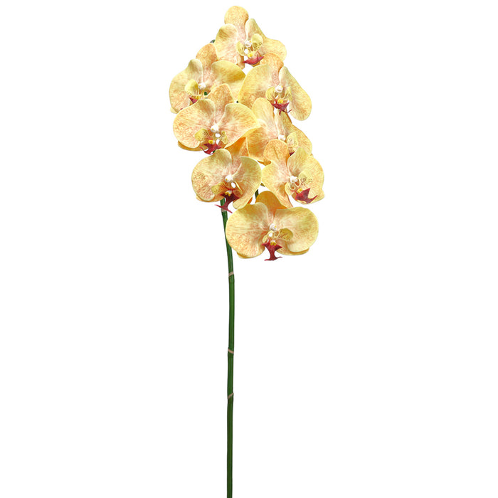 40" Handwrapped Phalaenopsis Orchid Silk Flower Stem -Yellow (pack of 6) - HSO007-YE