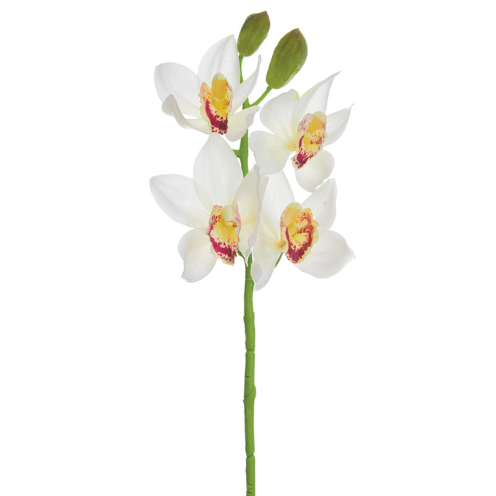 19" Hand-Wrapped Cymbidium Orchid Silk Flower Stem -Cream/Burgundy (Pack of 12) - HSO047-CR/BU