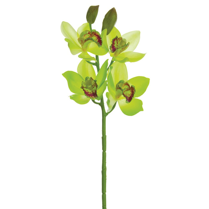 19" Handwrapped Cymbidium Orchid Silk Flower Stem -Green/Burgundy (pack of 12) - HSO047-GR/BU