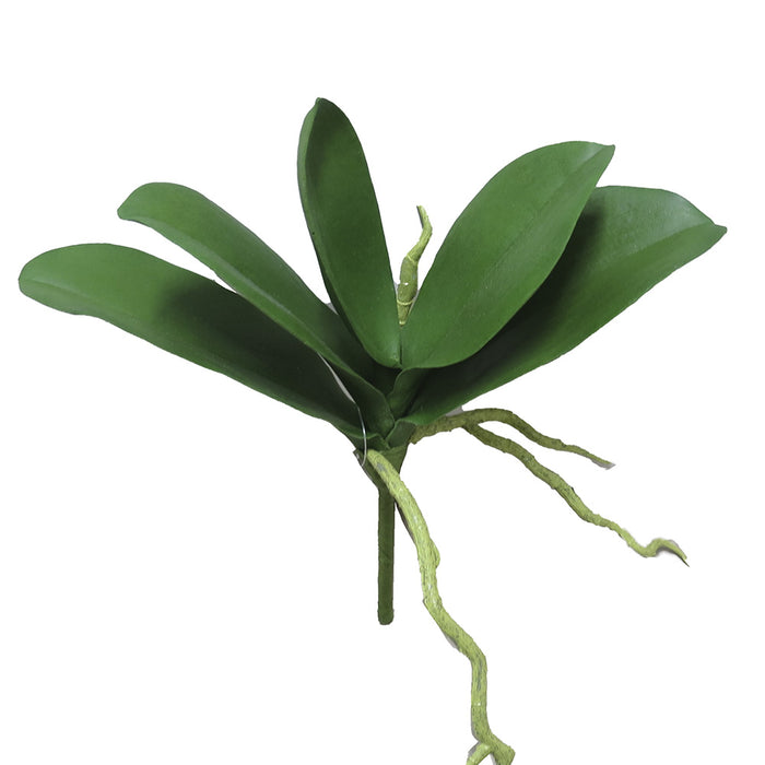 9" Silk Phalaenopsis Orchid Leaf Plant Stem w/Roots -Green (pack of 12) - HSO110-GR