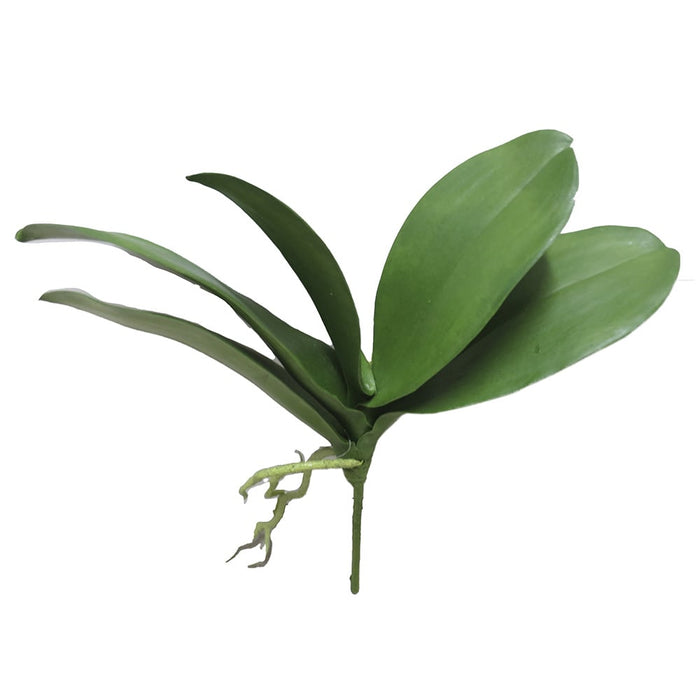 12" Silk Phalaenopsis Orchid Leaf Plant Stem w/Roots -Green (pack of 12) - HSO112-GR