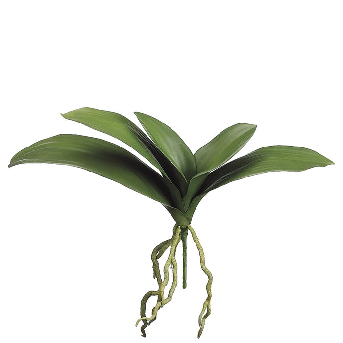 15" Silk Phalaenopsis Orchid Leaf Plant Stem -Green (pack of 12) - HSO120-GR