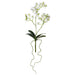 14" Handwrapped Phalaenopsis Orchid Plant Silk Flower Stem -White (pack of 12) - HSO140-WH