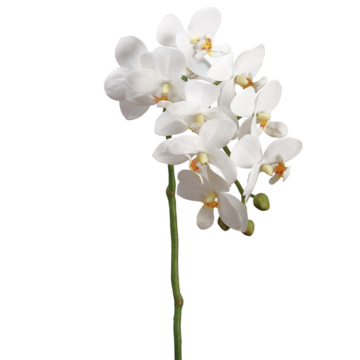 18.5" Handwrapped Silk Small Phalaenopsis Orchid Flower Spray -Cream/Yellow (pack of 12) - HSO159-CR/YE