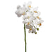 18.5" Handwrapped Silk Small Phalaenopsis Orchid Flower Spray -Cream/Yellow (pack of 12) - HSO159-CR/YE