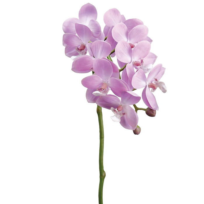 18.5" Handwrapped Silk Small Phalaenopsis Orchid Flower Spray -2 Tone Lavender (pack of 12) - HSO159-LV/TT