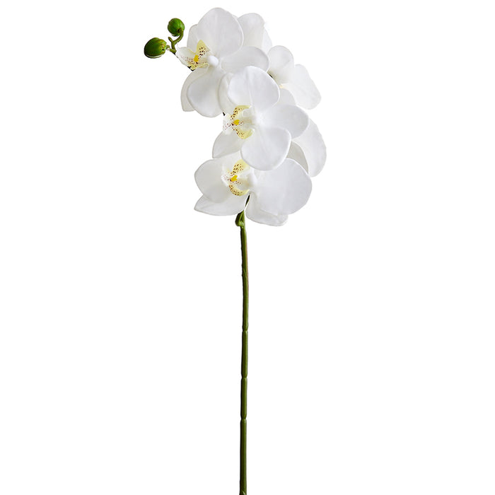 23.5" Small Silk Phalaenopsis Orchid Flower Stem -White (pack of 12) - HSO175-WH