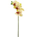 23.5" Small Silk Phalaenopsis Orchid Flower Stem -Yellow/Burgundy (pack of 12) - HSO175-YE/BU
