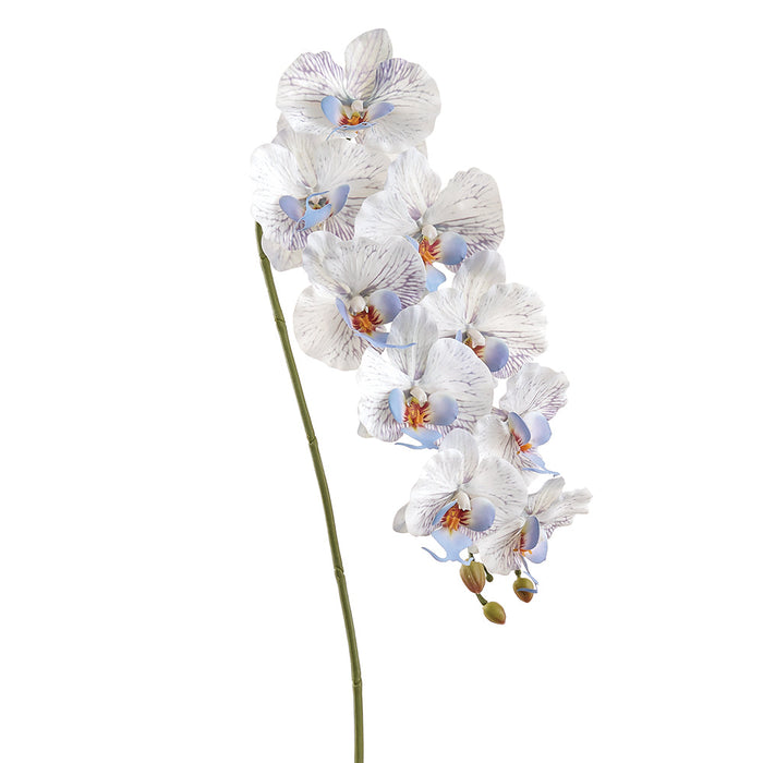 36" Hand-Wrapped Phalaenopsis Orchid Silk Flower Stem -Cream/Blue (Pack of 12) - HSO250-CR/BL