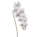 36" Hand-Wrapped Phalaenopsis Orchid Silk Flower Stem -Cream/Blue (Pack of 12) - HSO250-CR/BL