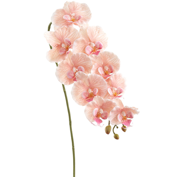 36" Hand-Wrapped Phalaenopsis Orchid Silk Flower Stem -Pink (Pack of 12) - HSO250-PK