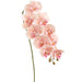 36" Hand-Wrapped Phalaenopsis Orchid Silk Flower Stem -Pink (Pack of 12) - HSO250-PK