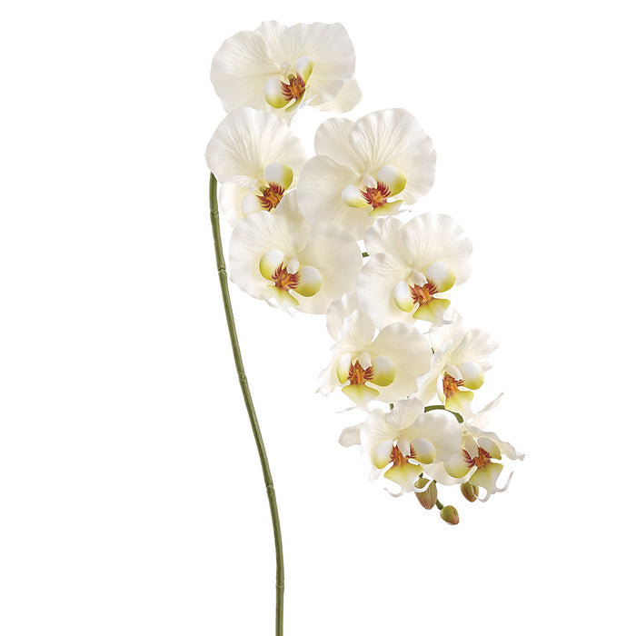 36" Hand-Wrapped Phalaenopsis Orchid Silk Flower Stem -White/Yellow (Pack of 12) - HSO250-WH/YE
