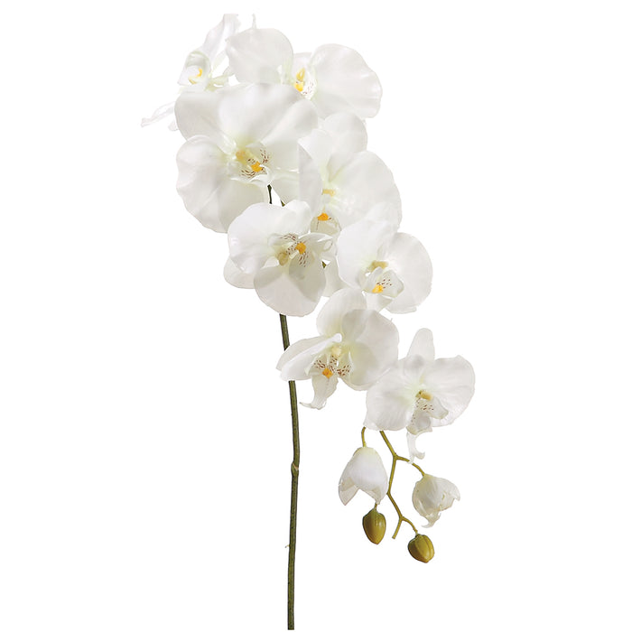 44.5" Handwrapped Silk Phalaenopsis Orchid Flower Spray -Cream/Green (pack of 6) - HSO301-CR/GR