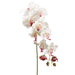 44.5" Handwrapped Silk Phalaenopsis Orchid Flower Spray -Cream/Rubrum (pack of 6) - HSO301-CR/RB