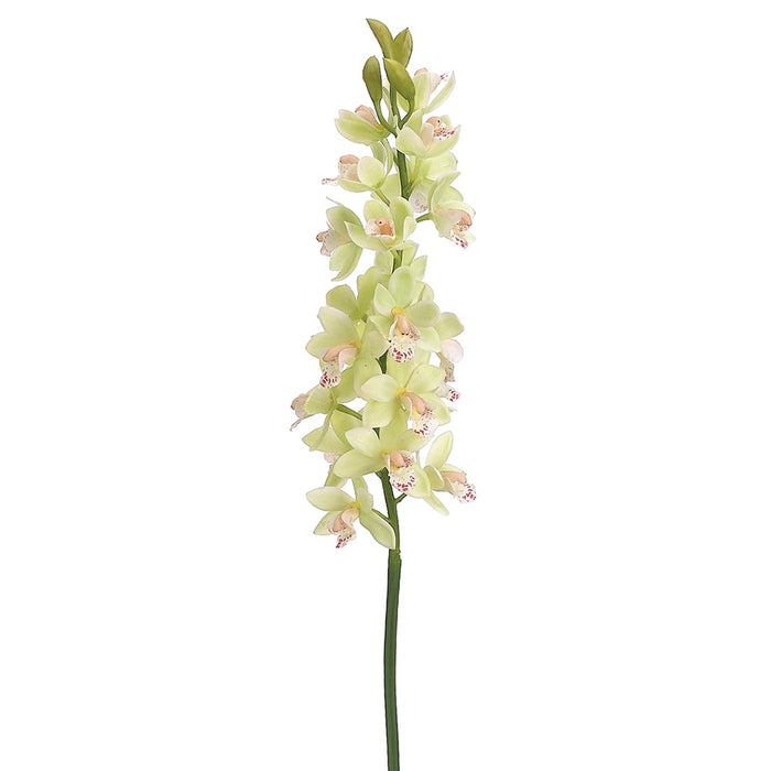 31" Handwrapped Cymbidium Orchid Silk Flower Stem -Green (pack of 12) - HSO302-GR