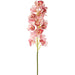 30" Real Touch Hand-Wrapped Cymbidium Orchid Silk Flower Stem -Pink (Pack of 12) - HSO303-PK