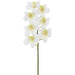 14" Dendrobium Ceasar Orchid Silk Flower Stem -White (Pack of 6) - HSO440-WH
