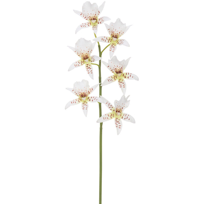 13.5" Star Oncidium Orchid Silk Flower Stem -White (Pack of 6) - HSO446-WH