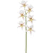 13.5" Star Oncidium Orchid Silk Flower Stem -White (Pack of 6) - HSO446-WH