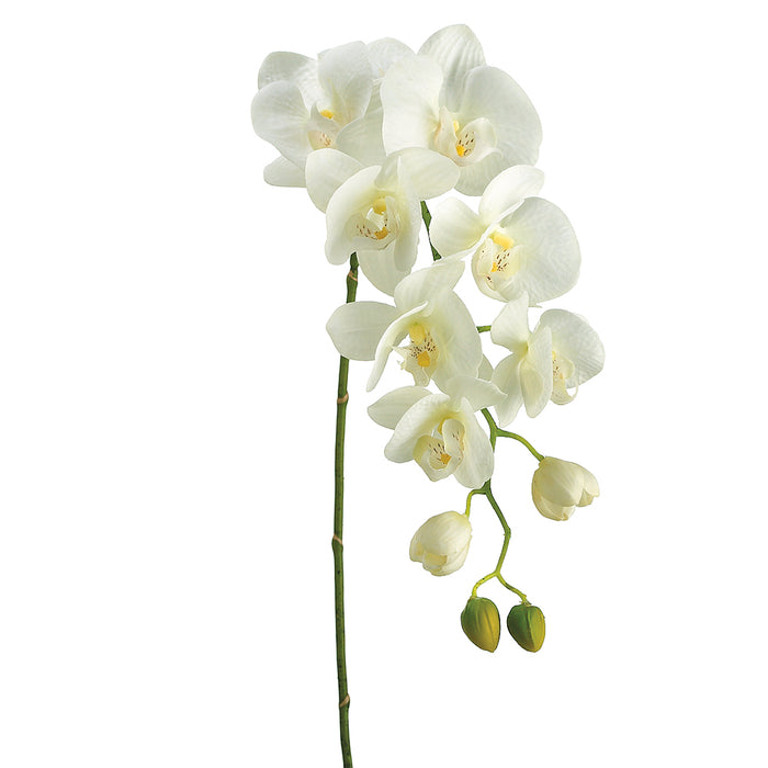 31" Handwrapped Silk Phalaenopsis Orchid Flower Spray -Cream/Green (pack of 6) - HSO471-CR/GR
