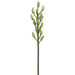 46" Handwrapped Cymbidium Orchid Bud Silk Flower Stem -Green (pack of 6) - HSO588-GR