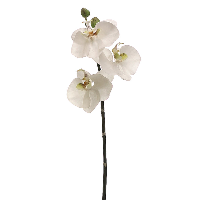 30" Handwrapped Silk Phalaenopsis Orchid Flower Spray -White/Green (pack of 12) - HSO670-WH/GR