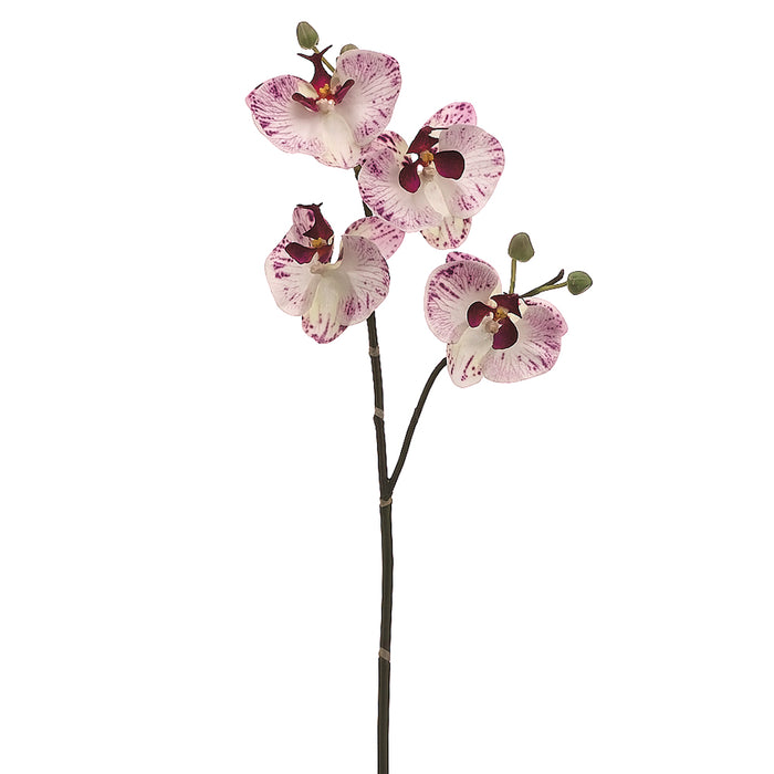 32" Handwrapped Silk Phalaenopsis Orchid Flower Spray -White/Orchid (pack of 6) - HSO673-WH/OC