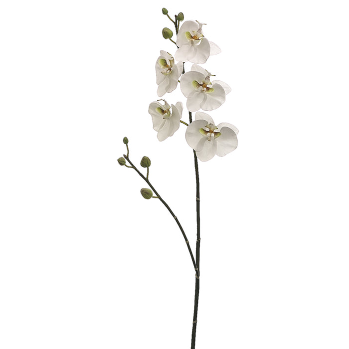 38" Handwrapped Silk Phalaenopsis Orchid Flower Spray -White/Green (pack of 6) - HSO676-WH/GR