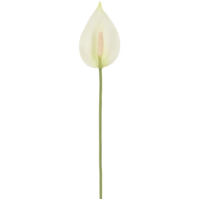 21" Hand-Wrapped Peach Anthurium Silk Flower Stem -Cream/White (Pack of 12) - HSO717-CR/WH
