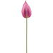 21" Hand-Wrapped Peach Anthurium Silk Flower Stem -Mauve/Purple (Pack of 12) - HSO717-MV/PU