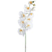 38" Handwrapped Phalaenopsis Orchid Silk Flower Stem -White/Yellow (pack of 12) - HSO724-WH/YE