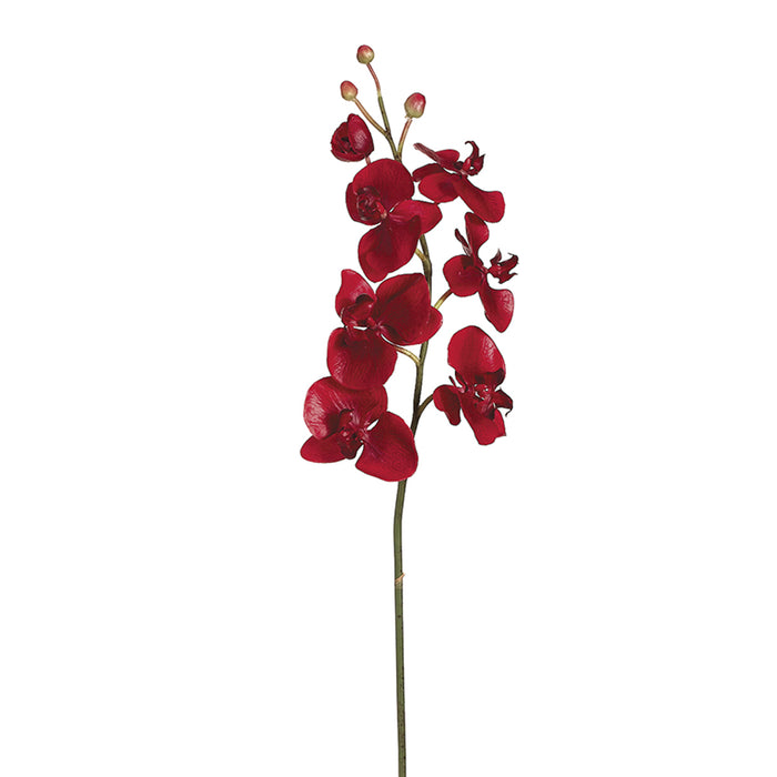28" Handwrapped Silk Phalaenopsis Orchid Flower Spray -Red (pack of 6) - HSO826-RE
