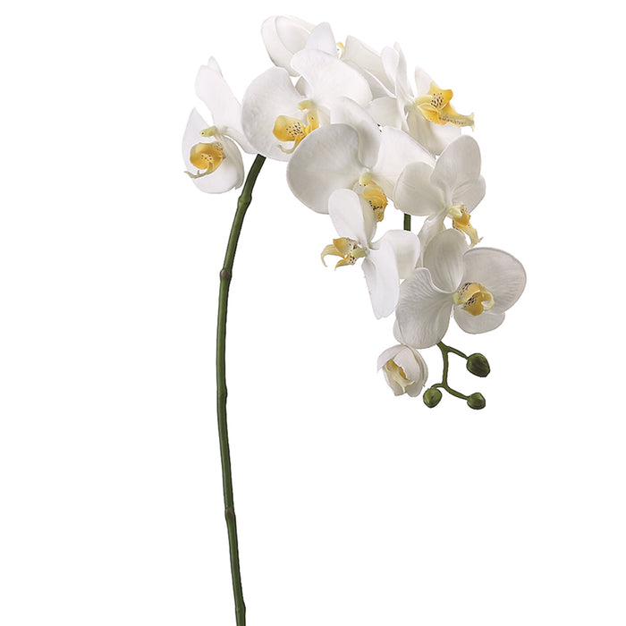 31.5" Handwrapped Silk Phalaenopsis Orchid Flower Spray -Cream (pack of 6) - HSO903-CR