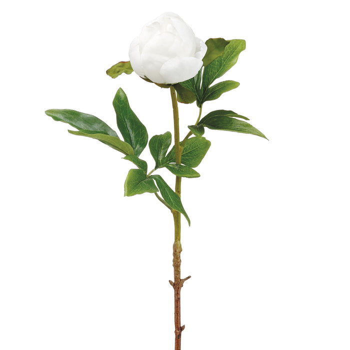 22" Handwrapped Silk Peony Bud Flower Spray -White (pack of 24) - HSP280-WH
