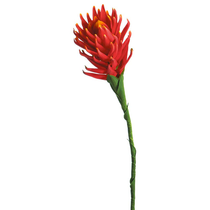 36" Hand-Wrapped Artificial Protea Flower Stem -Red/Orange (Pack of 12) - HSP325-RE/OR