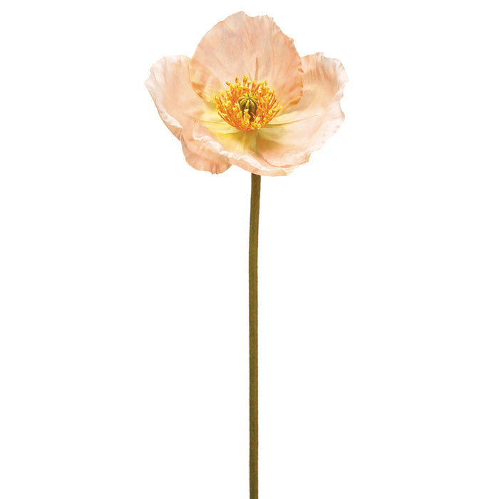 23" Poppy Silk Flower Stem -Peach (pack of 36) - HSP464-PE