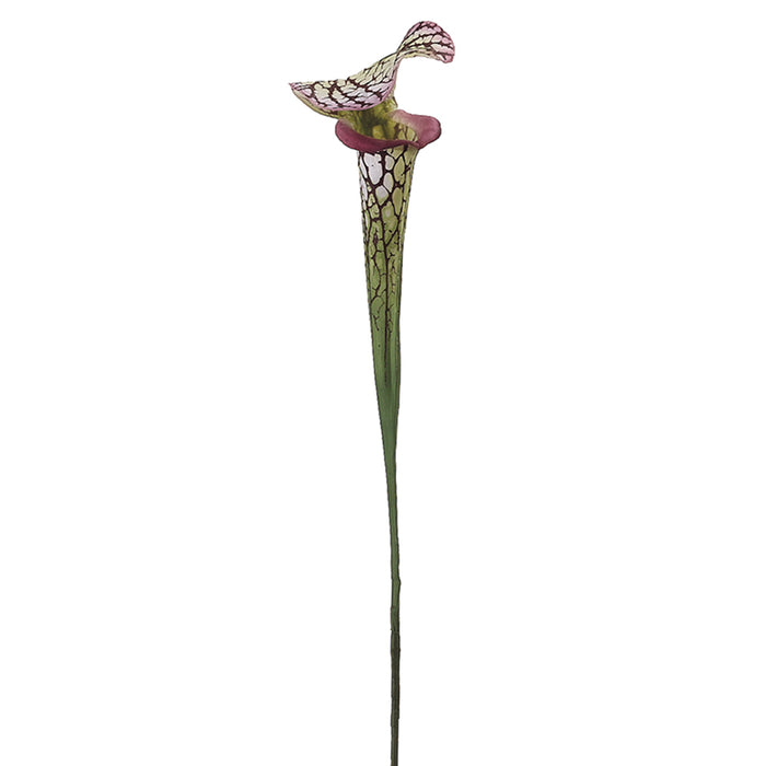 28" Handwrapped Silk Pitcher Plant Flower Spray -Green/Burgundy (pack of 12) - HSP483-GR/BU