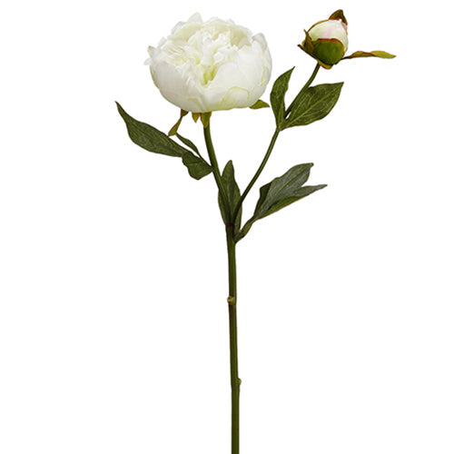 22" Peony Faux Flower Stem -White (Pack of 12) - HSP681-WH