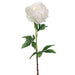 24" Handwrapped Silk Peony Flower Spray -White (pack of 12) - HSP773-WH