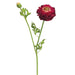 21" Handwrapped Silk Ranunculus Flower Spray -Burgundy/Green (pack of 12) - HSR608-BU/GR