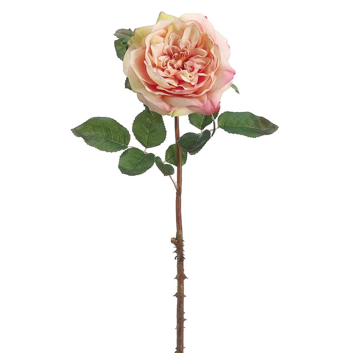 20" Handwrapped Silk English Rose Flower Spray -Peach/Cream (pack of 12) - HSR976-PE/CR