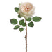 20" Handwrapped Silk English Rose Flower Spray -Vanilla (pack of 12) - HSR976-VA