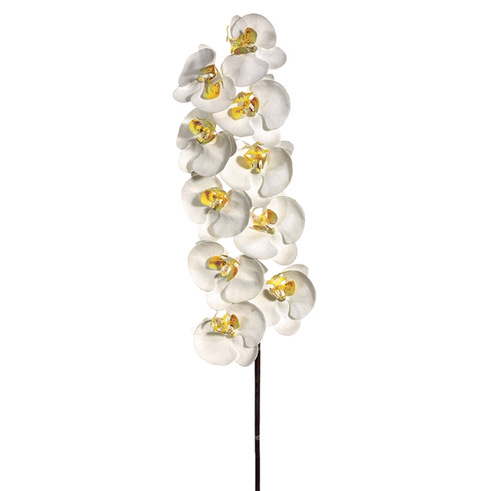 41" Handwrapped Silk Large Phalaenopsis Orchid Flower Spray -Cream/White (pack of 6) - HYO752-CR/WH
