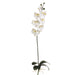 35" Handwrapped Silk Phalaenopsis Orchid Plant Flower Spray -Cream/White (pack of 6) - HYO769-CR/WH